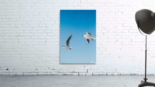 Birds fly high Wall Preview