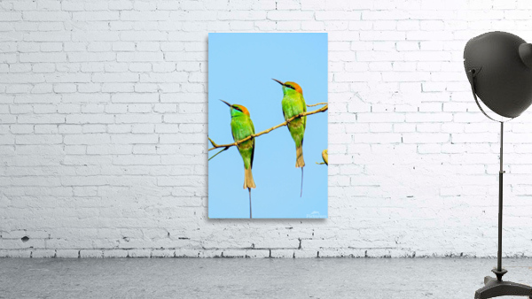 Birds plan things Wall Preview