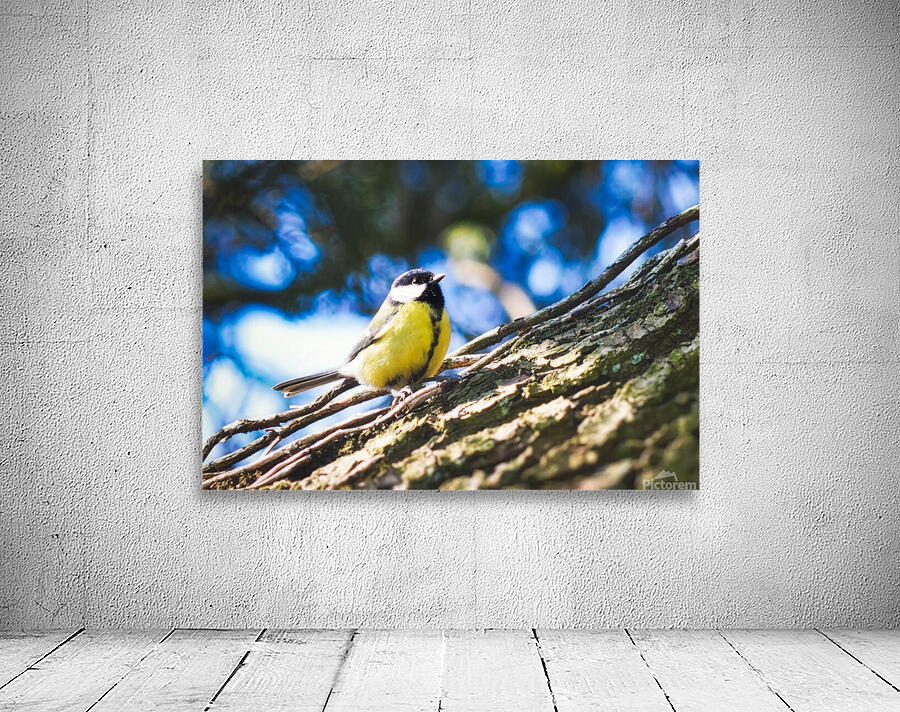 Birds create things Wall Preview