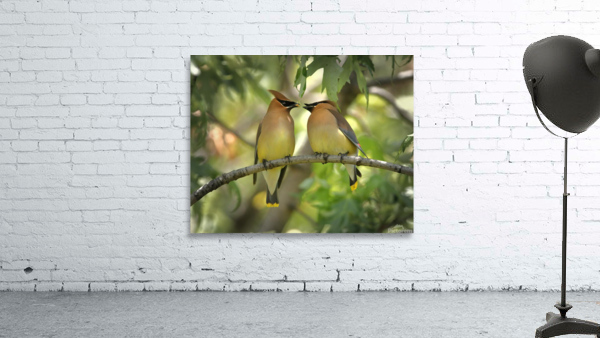 Birds having lunch Wall Preview
