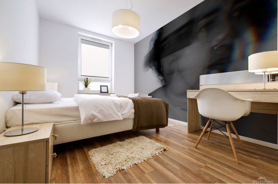Soul Symphony Mural print