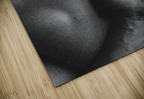 Gisus Zorieshka Pubill puzzle