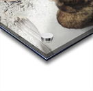 Bear Slide Acrylic print