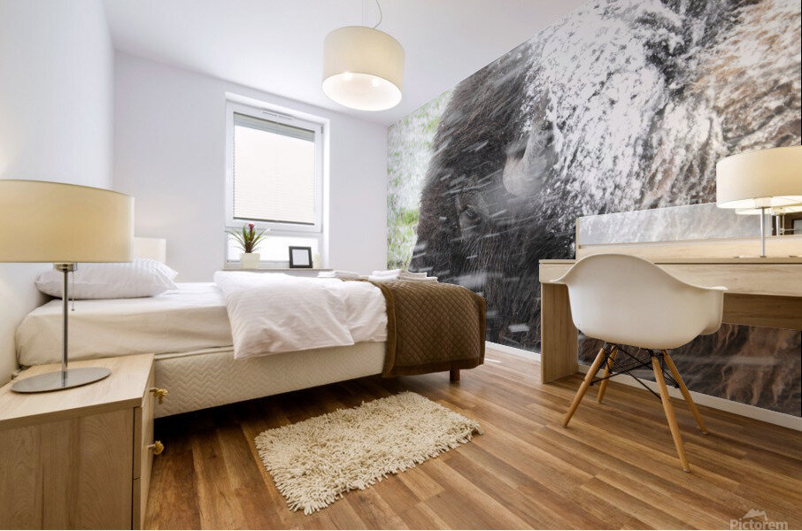 Snowy Bison 7 Mural print