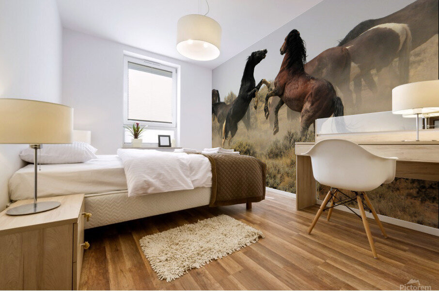 Spurring Stallions Mural print