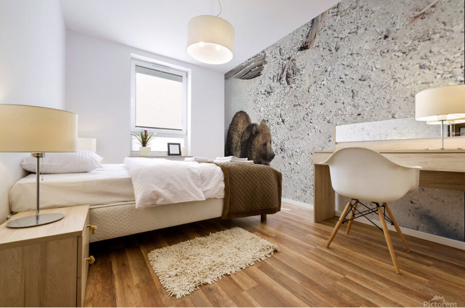 Bear Slide Mural print