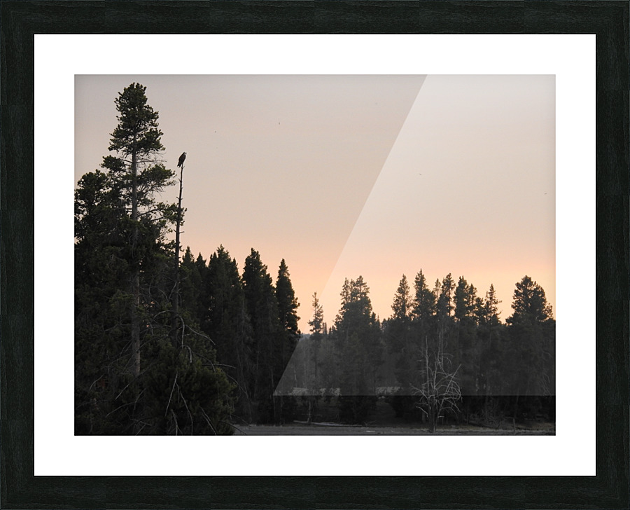 DSCN5735 Picture Frame print
