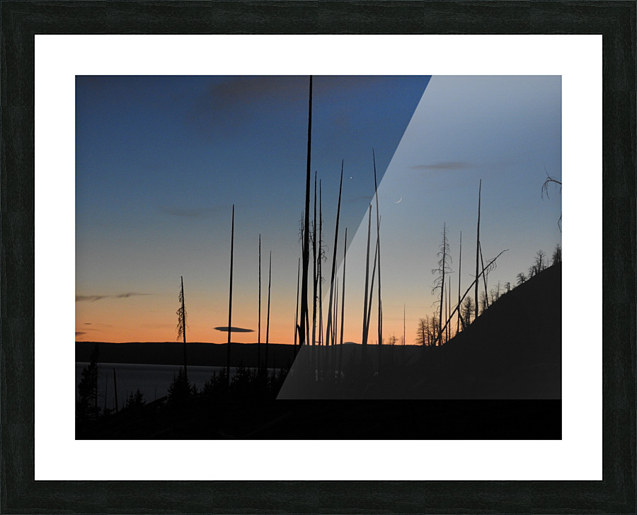 DSCN5860 Picture Frame print