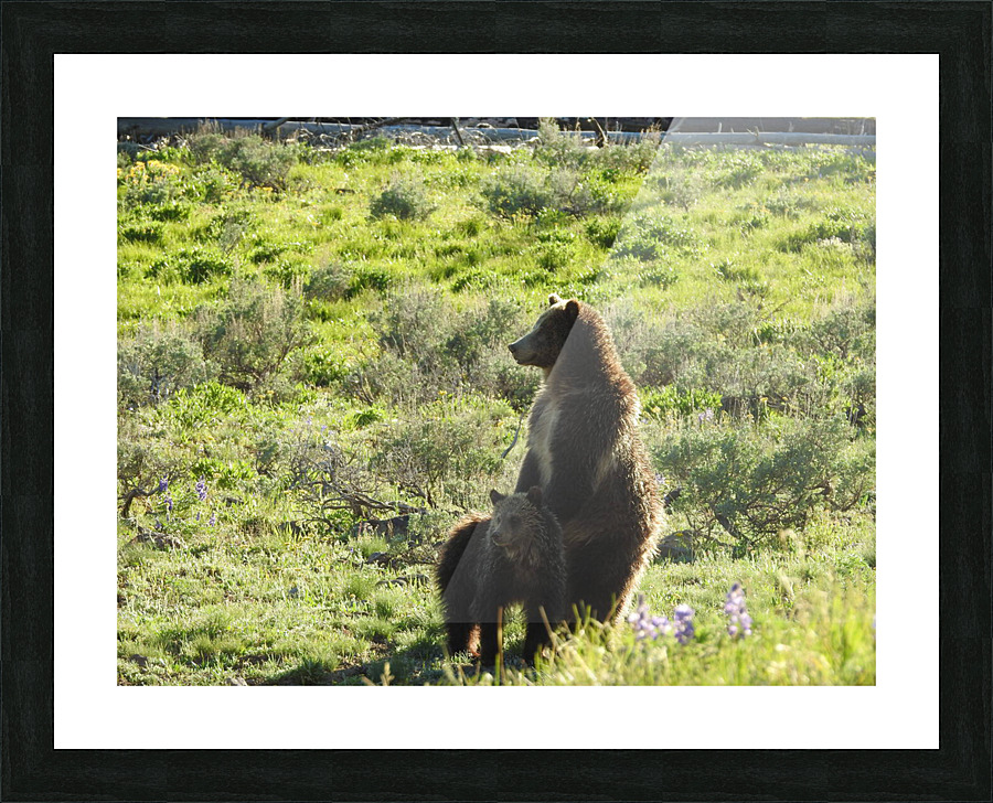 DSCN5921 Picture Frame print