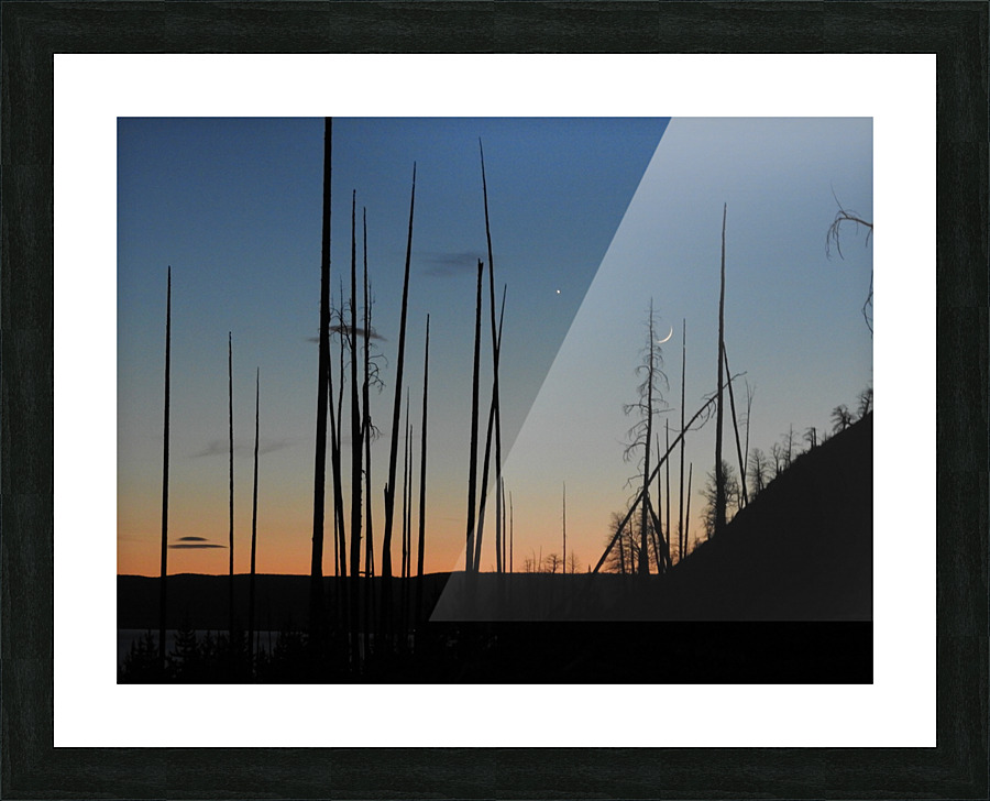 DSCN5862 Picture Frame print