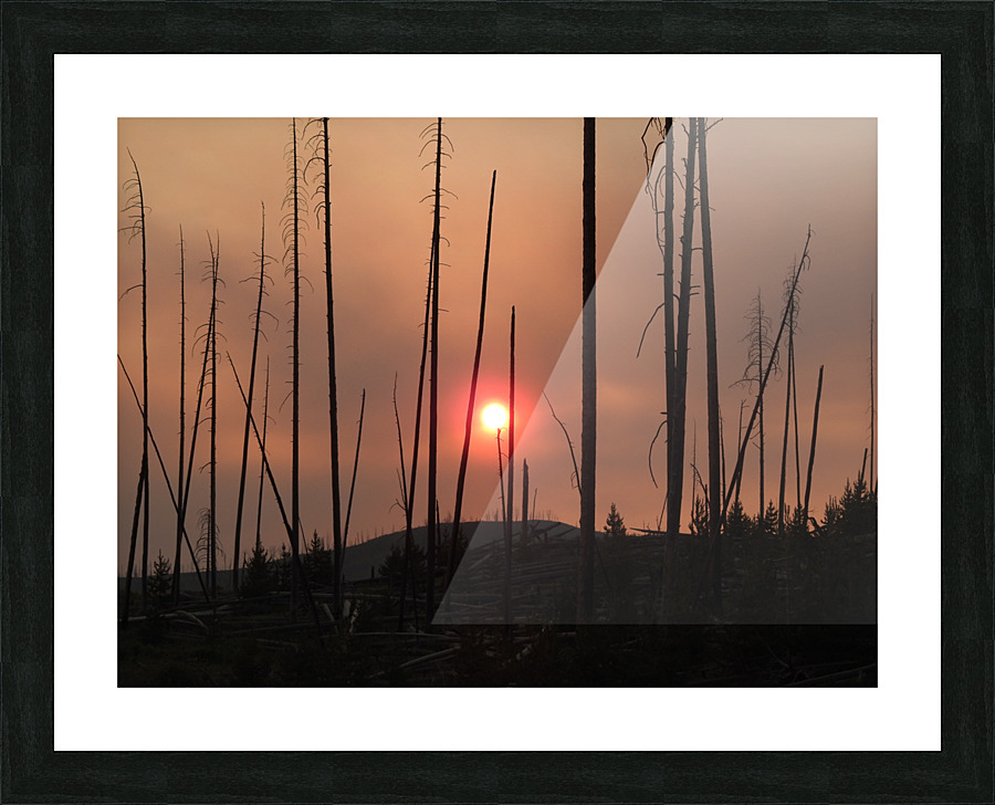 DSCN7644 Picture Frame print