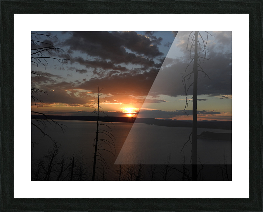 DSCN7535 Picture Frame print