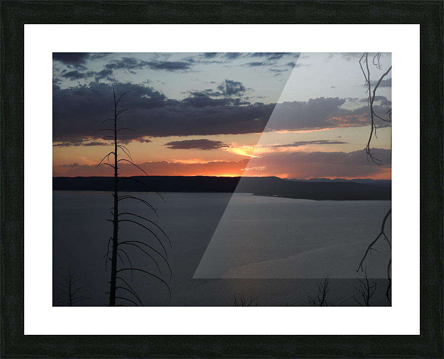 DSCN7545 Picture Frame print