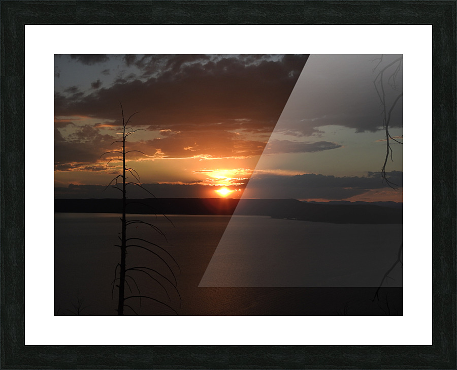 DSCN7539 Picture Frame print