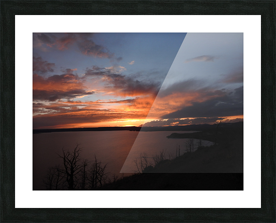 DSCN7343 Picture Frame print
