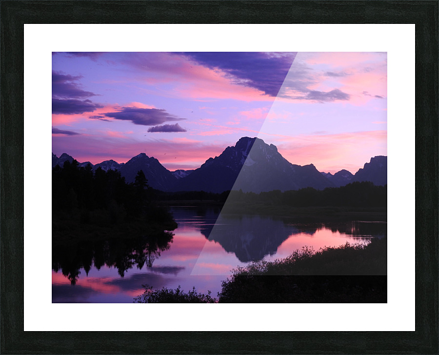 DSCN7377 Picture Frame print