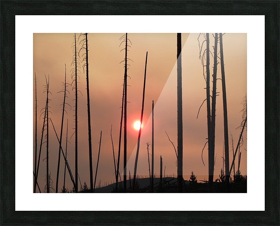 DSCN7641 Picture Frame print