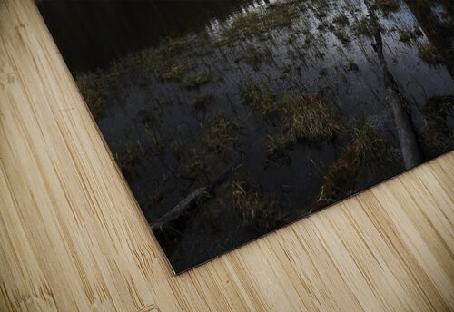 Spooky Lake 2 Emma Richwine puzzle