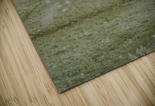 Snowy Bison 3 Emma Richwine puzzle