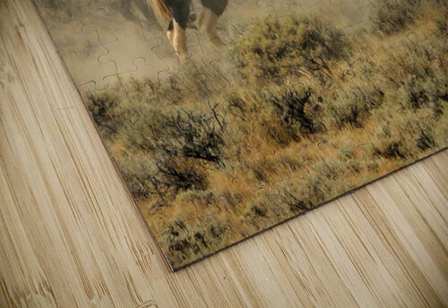 Spurring Stallions Emma Richwine puzzle