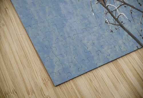 Bald Eagle Emma Richwine puzzle