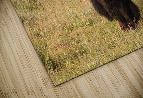 Big Bison Emma Richwine puzzle