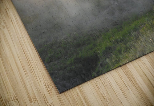 Dusty Bison Emma Richwine puzzle
