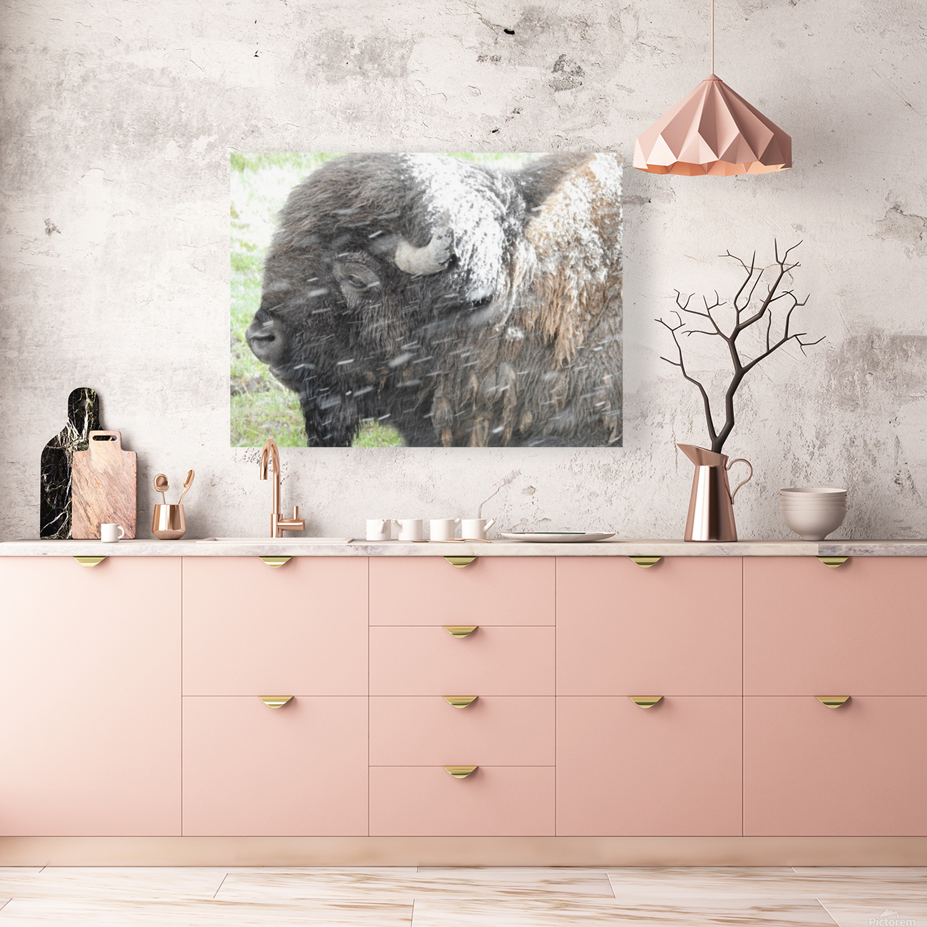 Snowy Bison 6 Reproduction