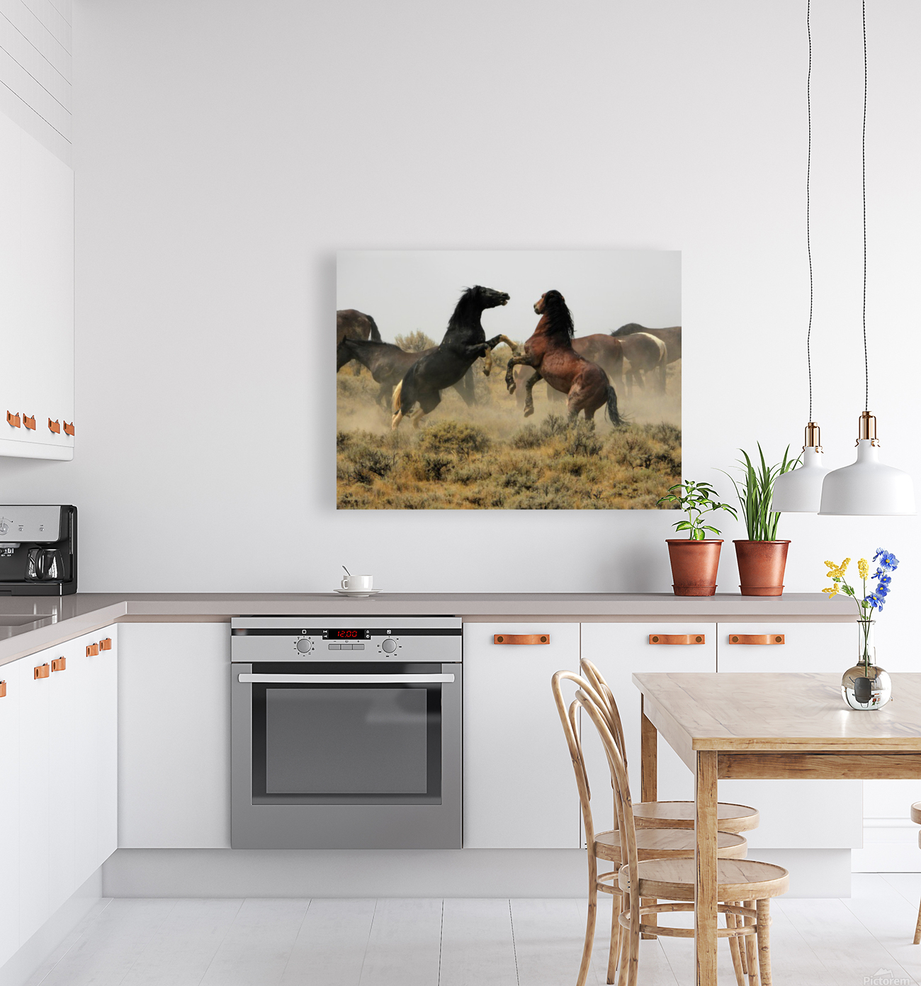 Spurring Stallions Reproduction