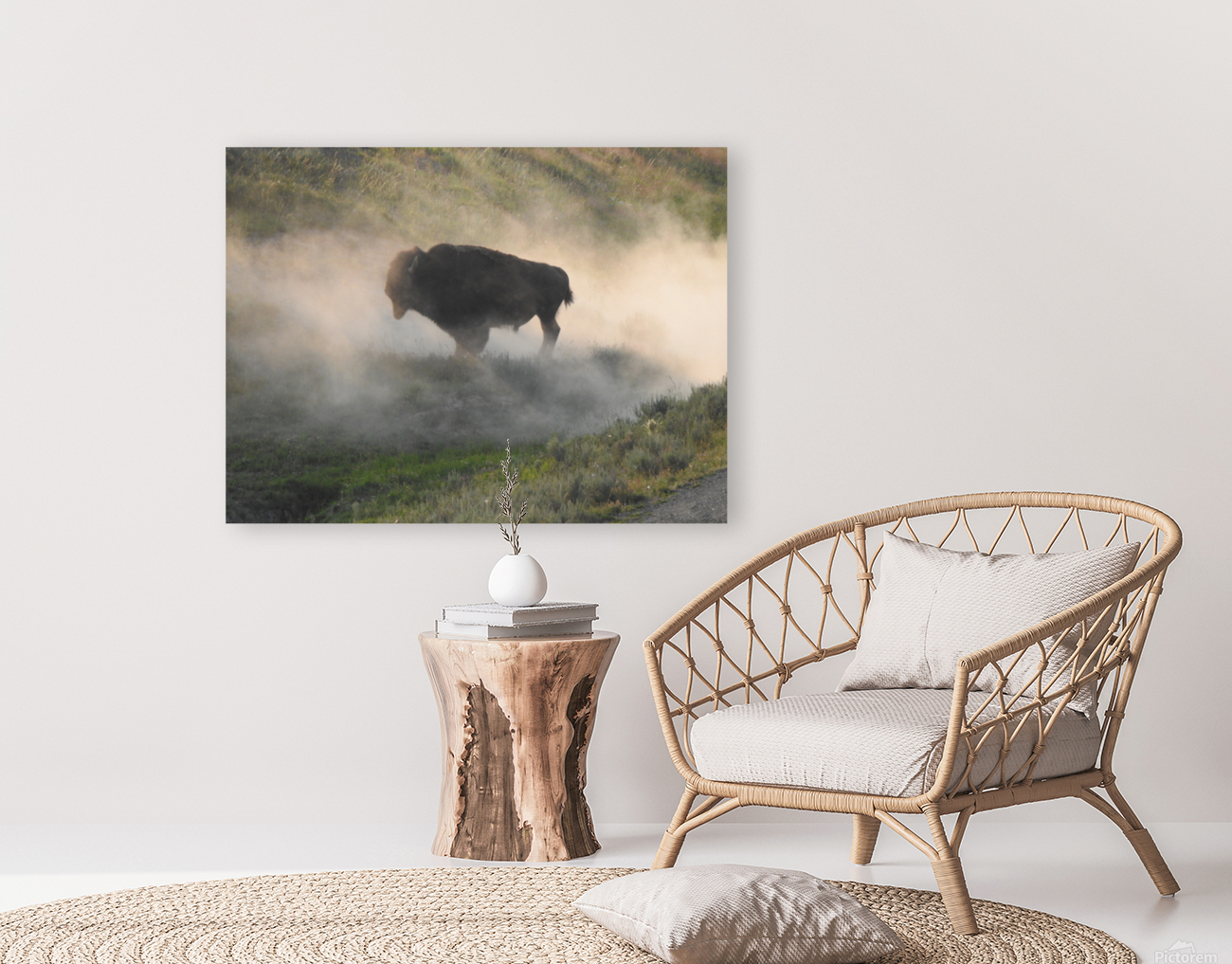 Dusty Bison Reproduction