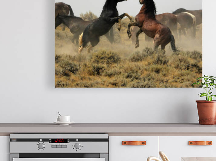Spurring Stallions by Emma Richwine