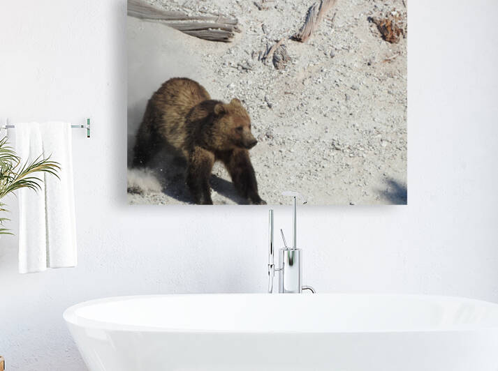 Bear Slide by Emma Richwine