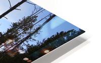 Spooky Lake 2 HD Metal print