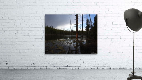 Spooky Lake 2 Wall Preview