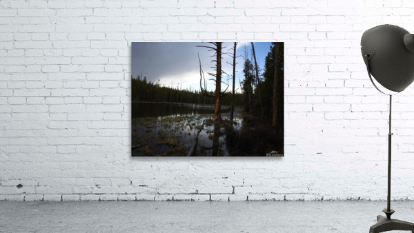 Spooky Lake Wall Preview
