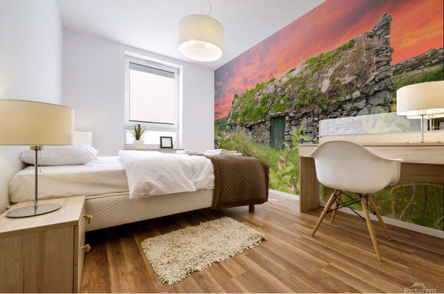 Irish Cottage Mural print