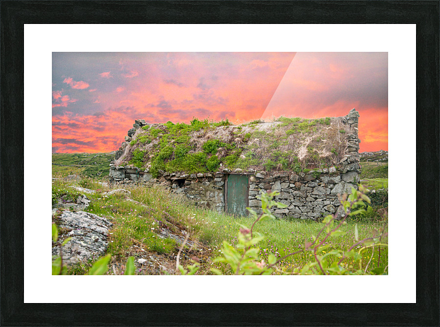  Fine Art print