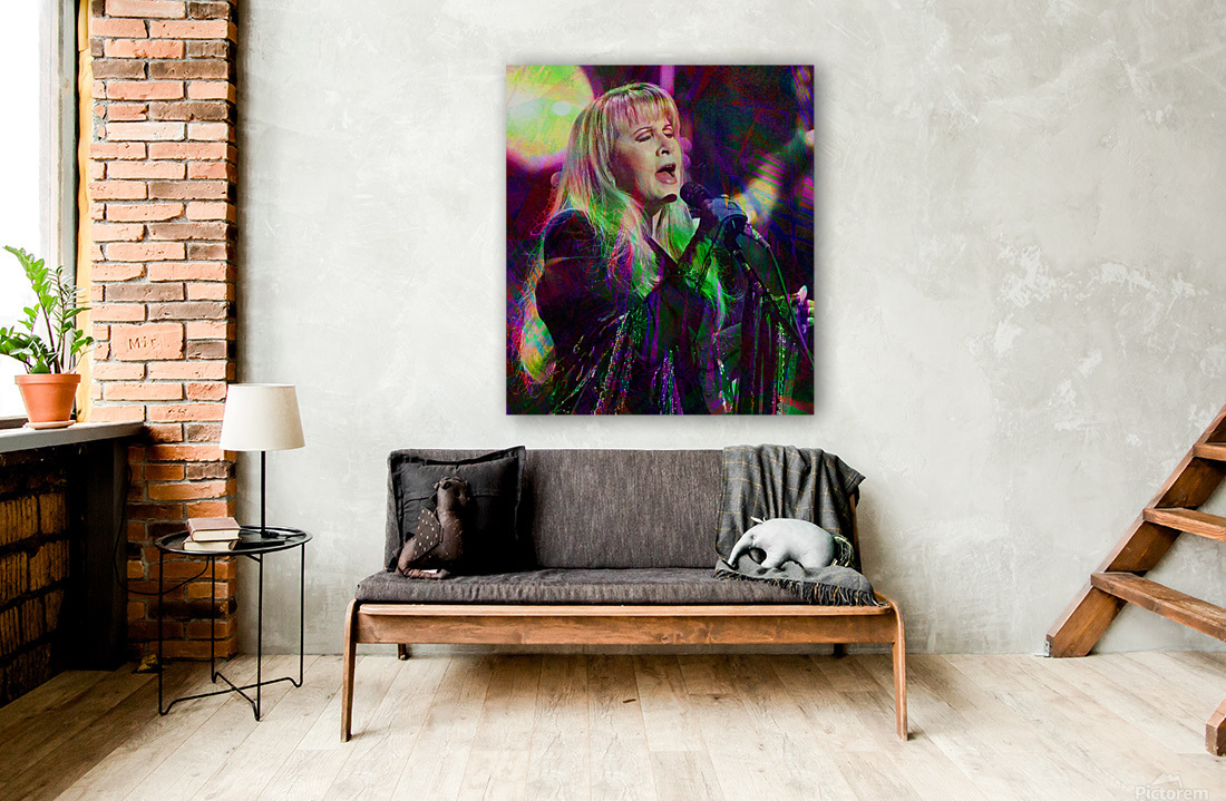 Stevie Nicks Reproduction