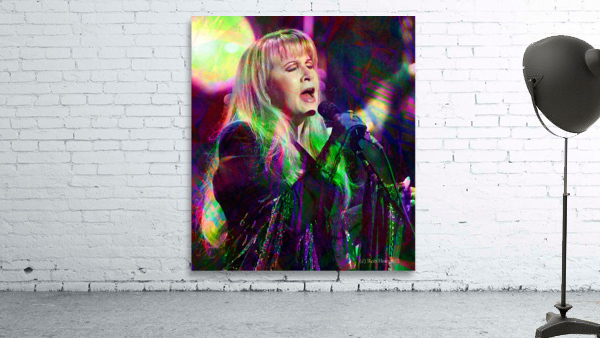 Stevie Nicks Wall Preview