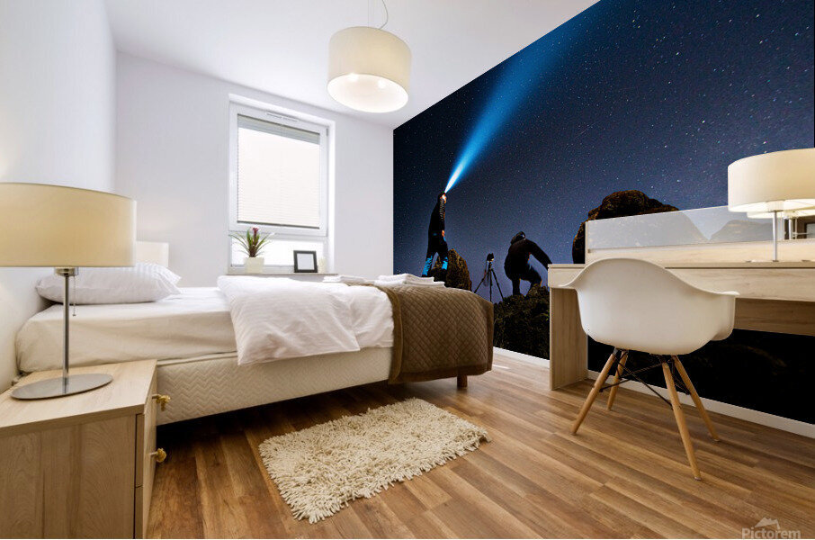 Stargazing Mural print