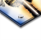 Happy Acrylic print