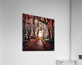 I Walk The Line Acrylic Print