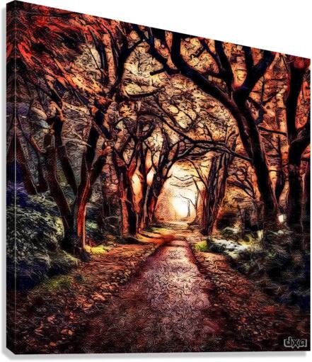 I Walk The Line Canvas Print