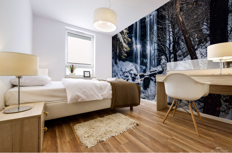 Free Fallin’  Mural print