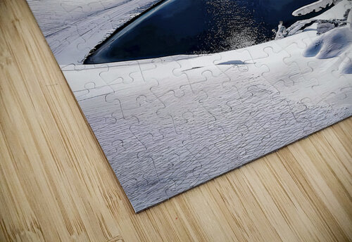 Dead Winter Diamondxart puzzle