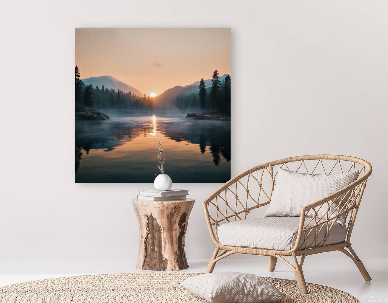 Sunsetz  Reproduction