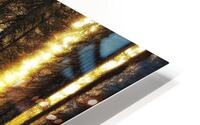 Blinding Lights   HD Metal print