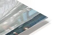 Beautiful Crazy HD Metal print