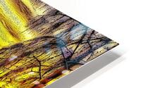 Something In The Orange HD Metal print
