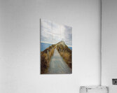 Vertical Nugget point lighthouse Acrylic Print